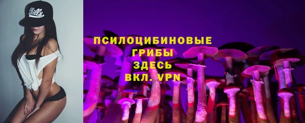 хмурый Михайловск
