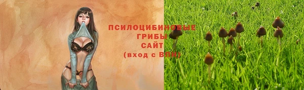 хмурый Михайловск