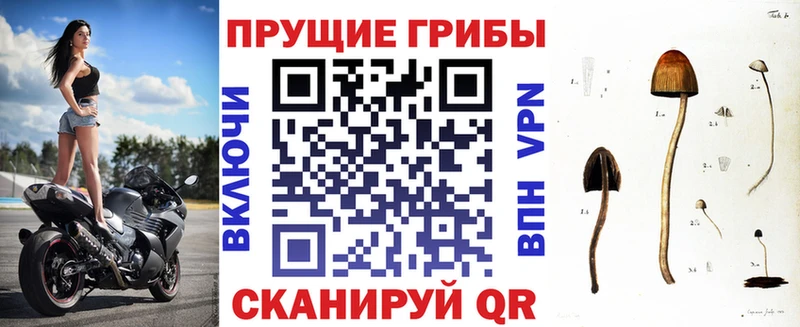 Купить закладки  Мосальск  Псилоцибиновые грибы Magic Shrooms 